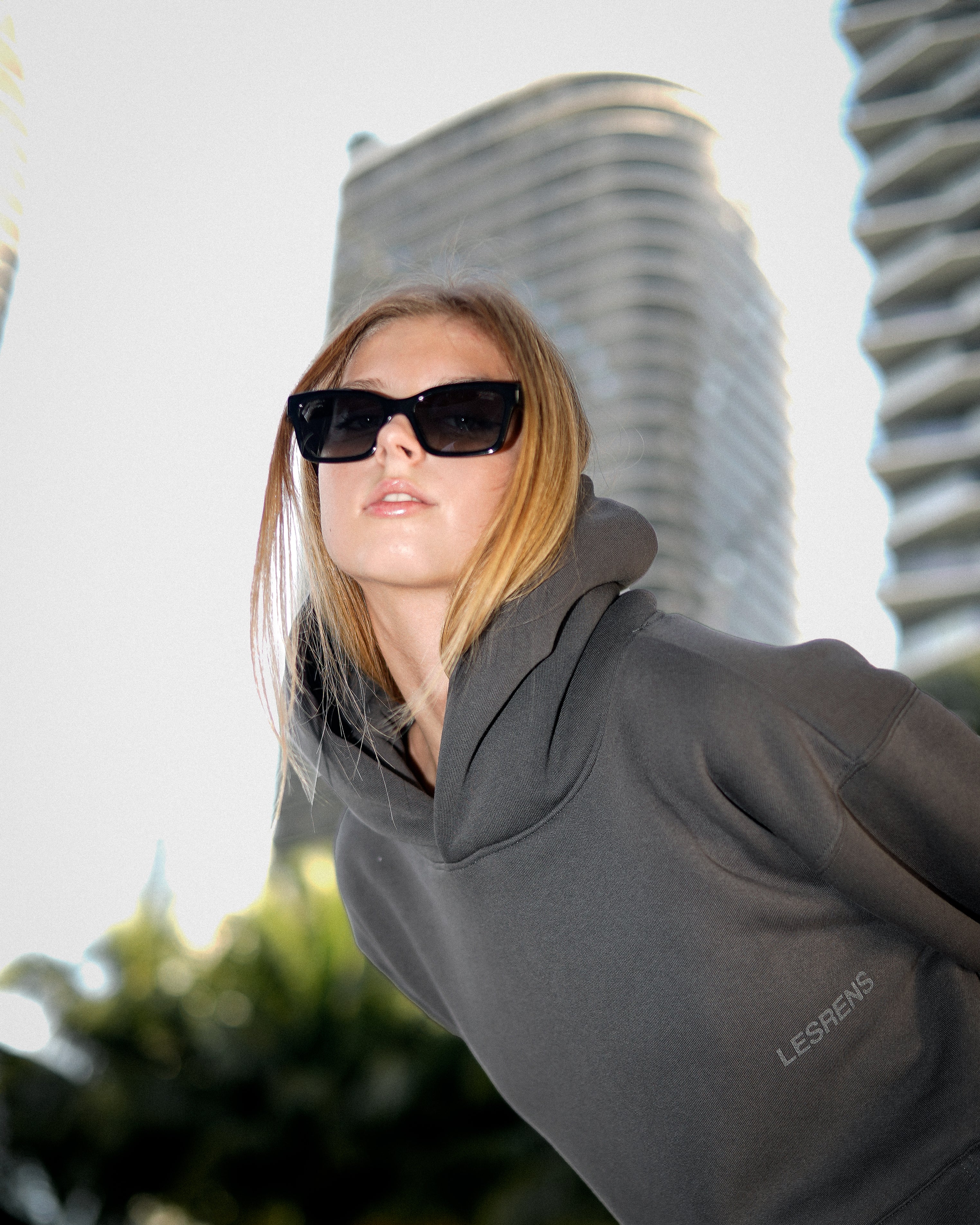 Gray Collectors Hoodie