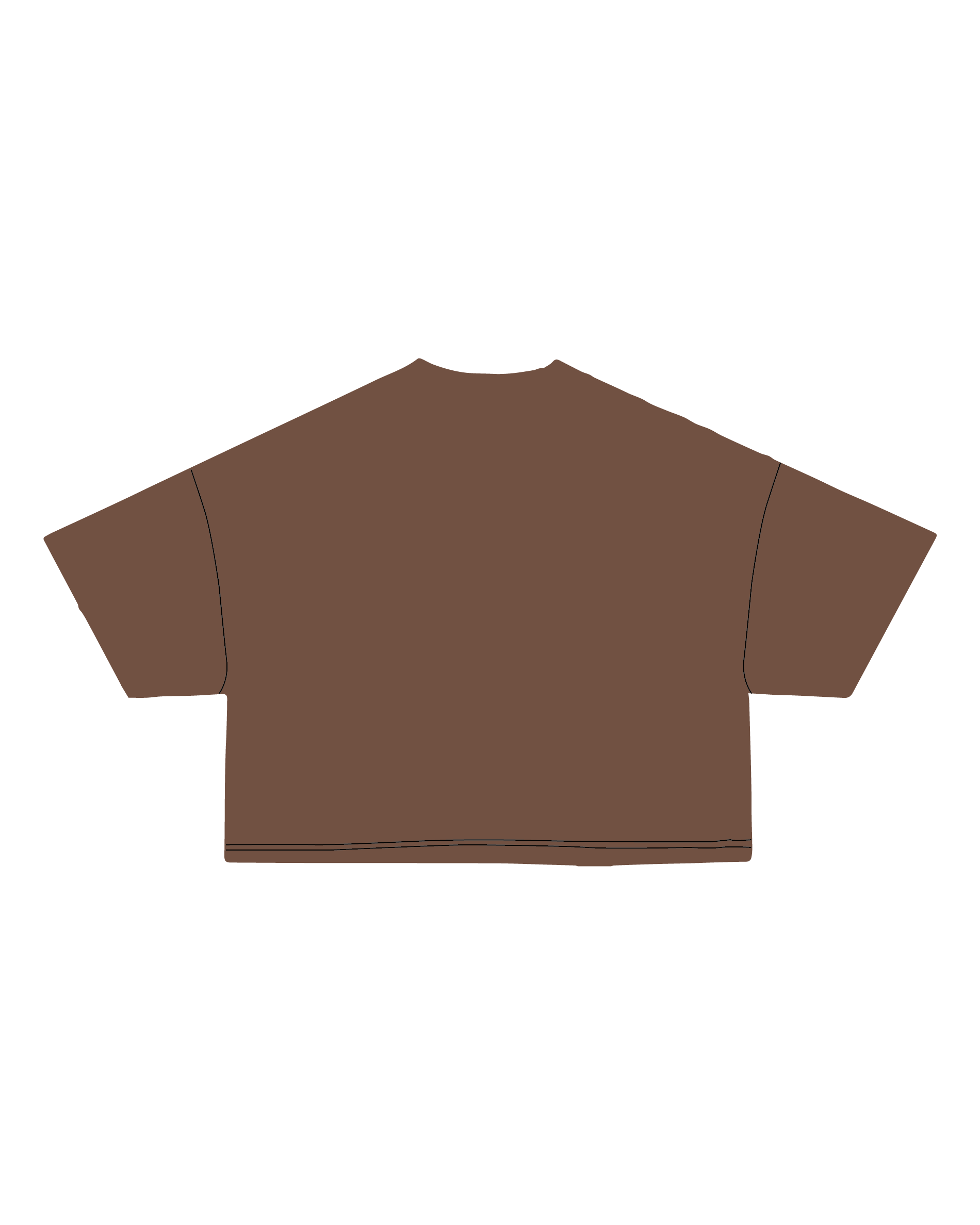 Brown Crop Top