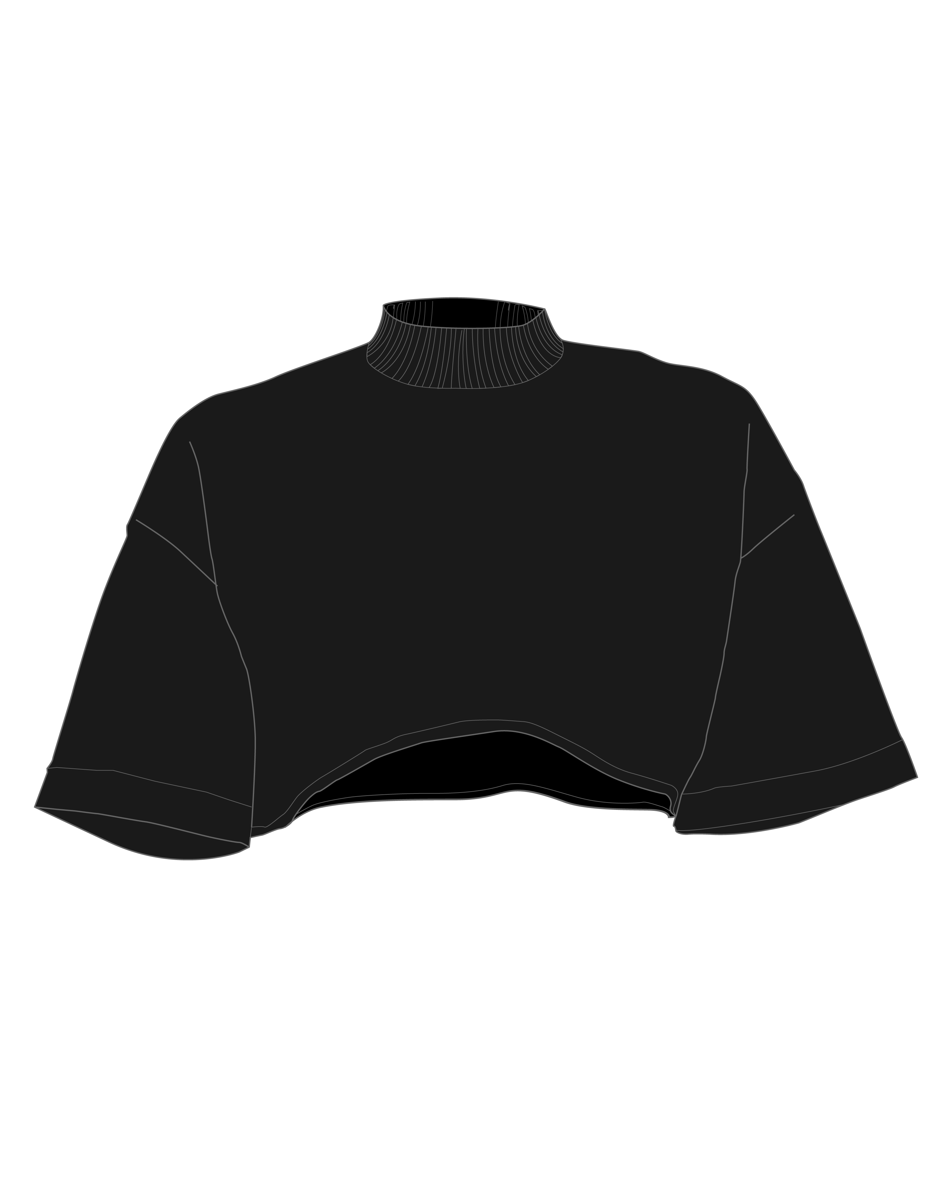 High Collar Cropped Tee